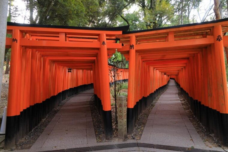 from-osaka-kyoto-kyoto-and-nara-1-day-bus-tour