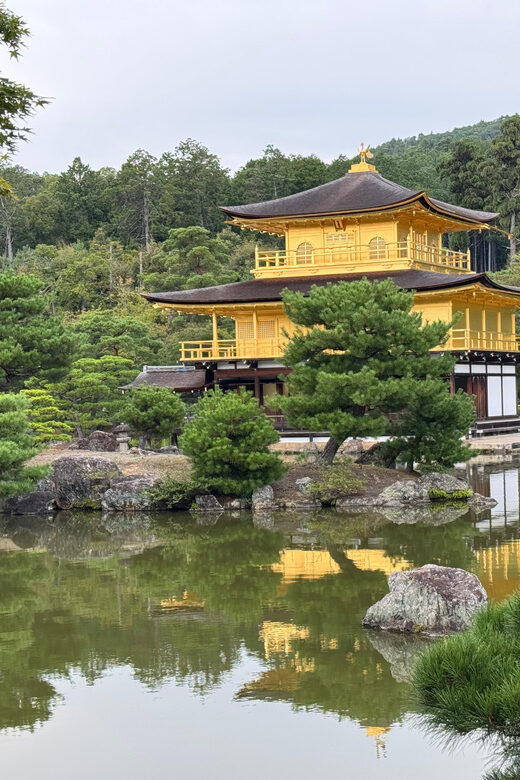 From Osaka/Kyoto: Kyoto & Nara Day Customised Sightseen Tour - Final Thoughts