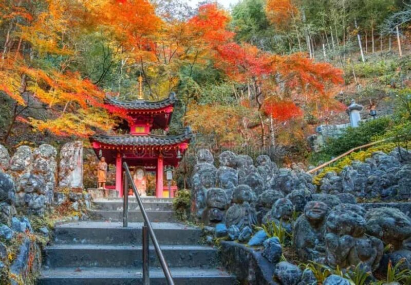 From Osaka/Kyoto: Kyoto Nara Day Trip Highlights - Key Points