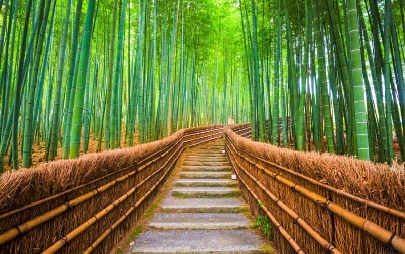 From Osaka/Kyoto: Kyoto Nara Day Trip Highlights - An In-Depth Look at the Kyoto Nara Day Trip