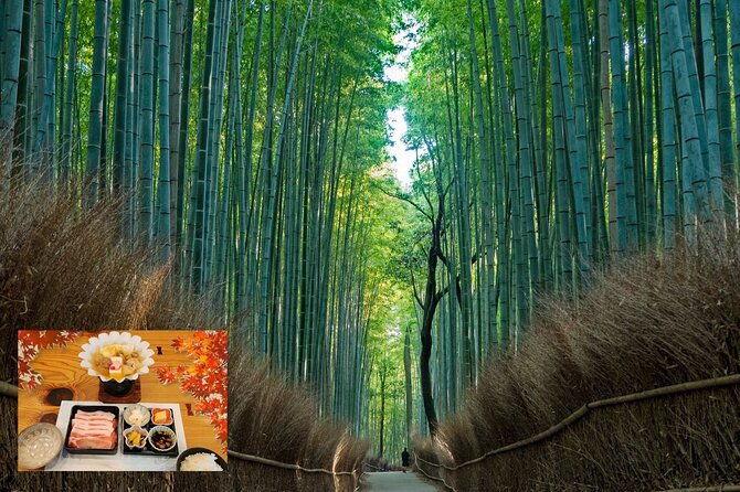 from-osaka-kyoto-kyoto-nara-day-trip-with-lunch-2