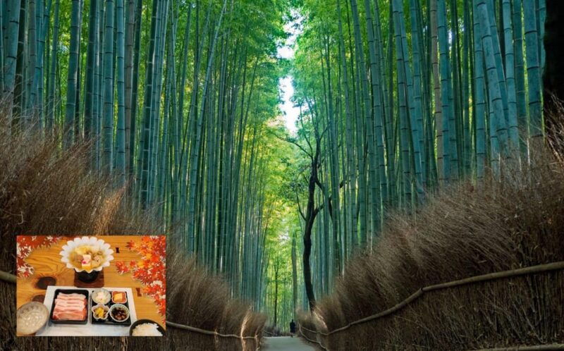 from-osaka-kyoto-kyoto-nara-day-trip-with-lunch