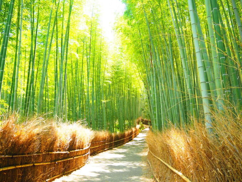 from-osaka-kyoto-kyoto-unesco-world-heritage-sites-day-tour