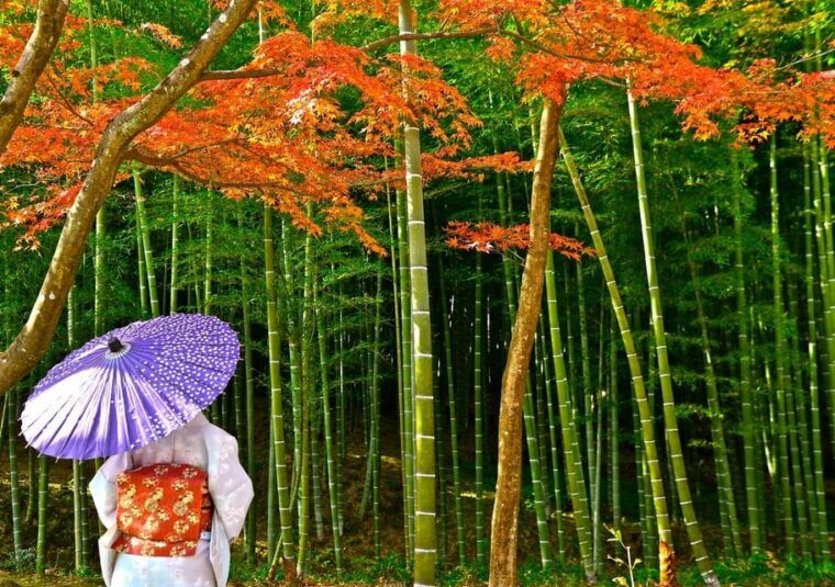 from-osaka-kyoto-kyoto-unesco-world-heritage-sites-day-tour