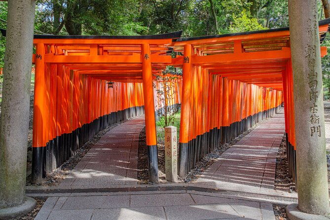 from-osaka-kyoto-must-see-spots-nara-park-sightseeing-day-tour