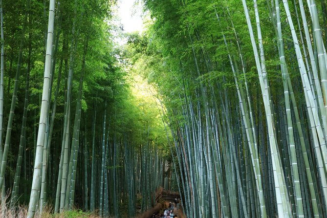 from-osaka-kyoto-must-see-spots-nara-park-sightseeing-day-tour