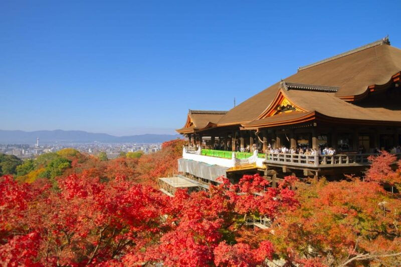 from-osaka-kyoto-nara-1-day-bus-tour