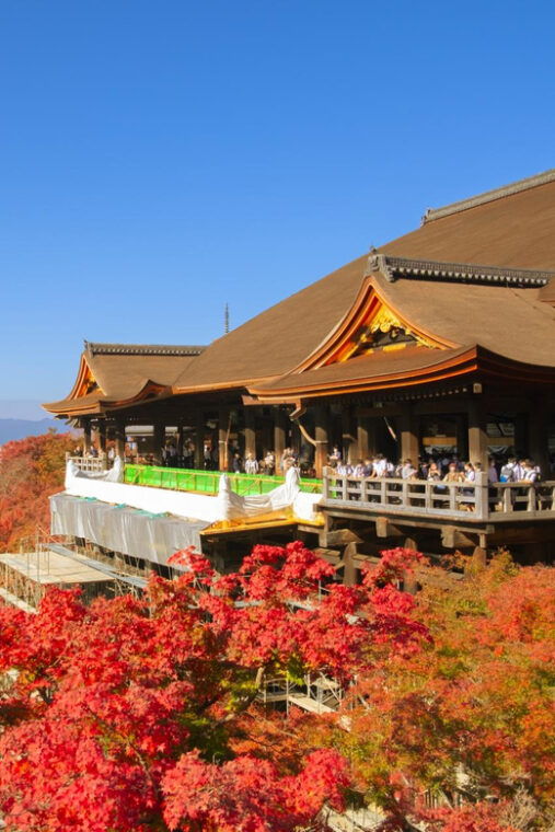 from-osaka-kyoto-nara-1-day-bus-tour