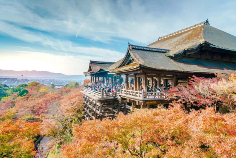 From Osaka: Kyoto & Nara Highlights Day Tour (7 attractions) - An In-Depth Look at the Tour Experience