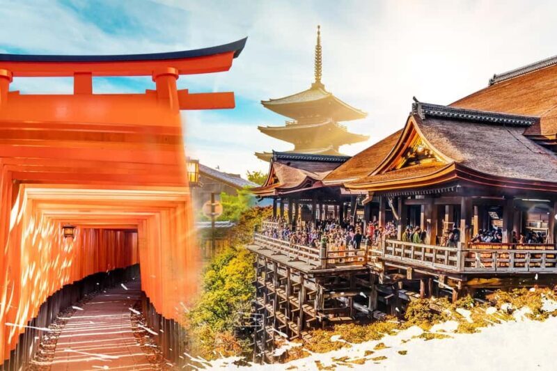 From Osaka: Kyoto & Nara Highlights Day Tour (7 attractions) - Who Is This Tour Best For?