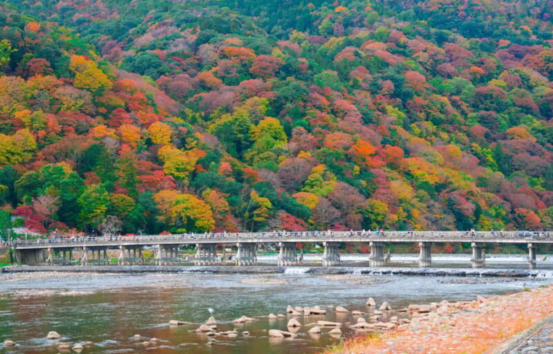 From Osaka/Kyoto: Nara & Kyoto Day Trip - Temples & Deer - Who Will Love This Experience?