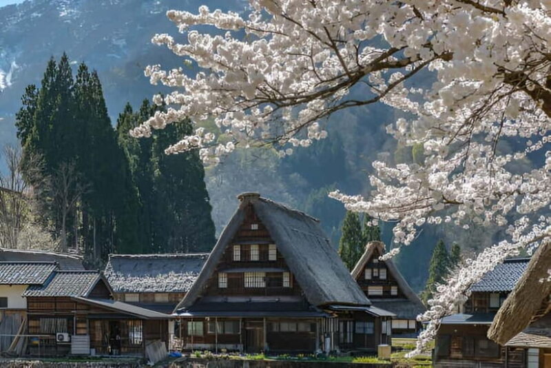 From Osaka/Kyoto: Shirakawa-go and Gokayama Day Tour - A Closer Look at the Itinerary and Highlights