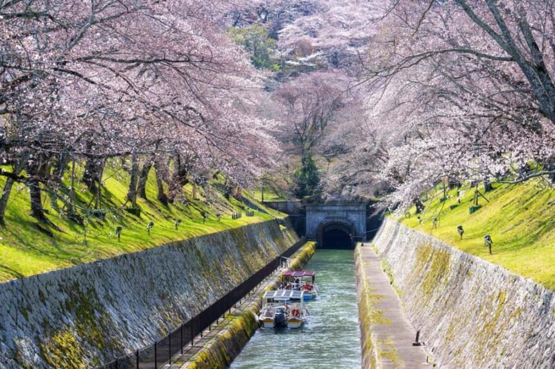 From Osaka: Kyoto Temples, Shrines & Cherry Blossom Day Trip - The Detailed Itinerary Breakdown