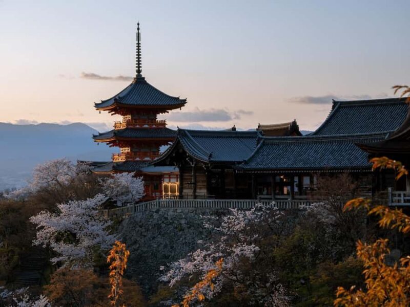 From Osaka: Kyoto Temples, Shrines & Cherry Blossom Day Trip - The Sum Up: Who Will Love This Tour?