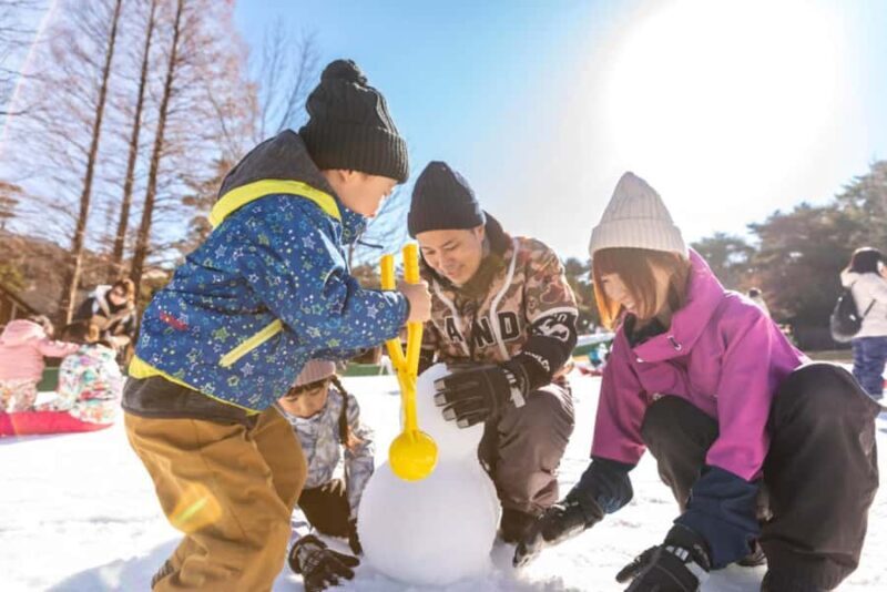 From Osaka: Mt. Rokko Snow, Crab Buffet & Strawberry Picking - Who Would Love This Tour?