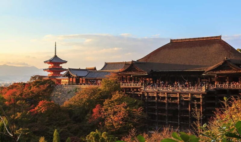 From Osaka: Nara Deer & Kyoto Kiyomizudera Sightseeing Tour - Practical Tips for Enjoying the Tour
