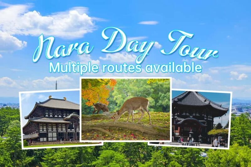 From Osaka: Nara Private Customizable Day Tour - Key Points