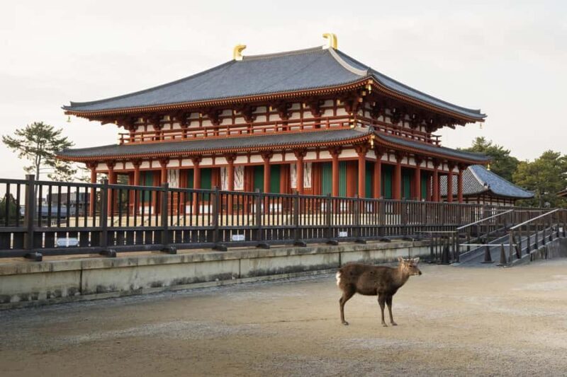From Osaka: Nara Private Customizable Day Tour - FAQ
