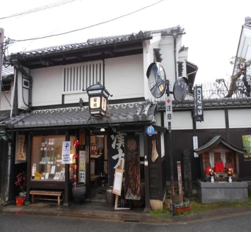 From Osaka: Nara Private Guided Day Trip with Flexible Tour - Key Points