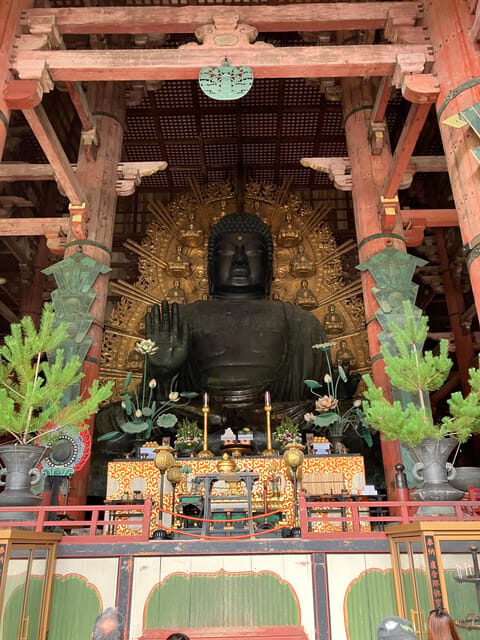 From Osaka: Nara Private Tour with Meet-Up at Your Hotel - Key Points