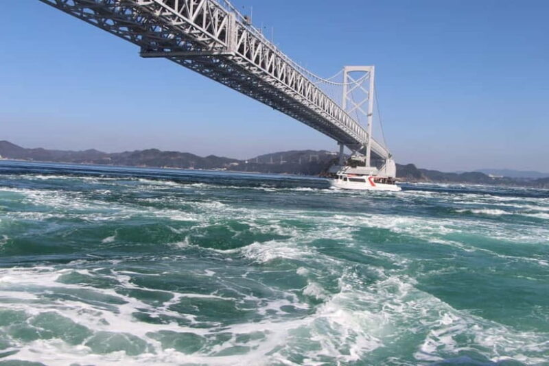 From Osaka: Naruto Whirlpool Boat & Awa Odori 1Day Bus Tour - Final Thoughts: Who Is This Tour Perfect For?