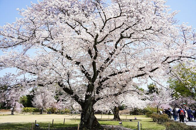 from-osaka-or-kyoto-one-day-sightseeing-tour-of-kyoto