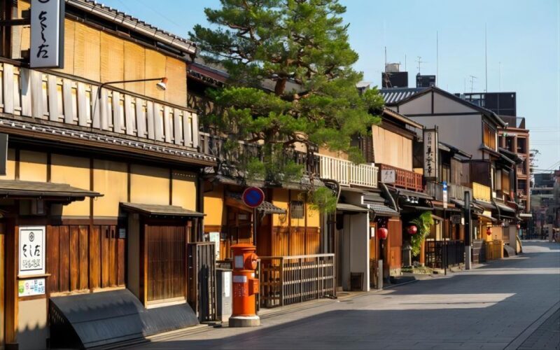 From Osaka: Private Customizable Day Tour to Kyoto - Who Will Love This Tour?