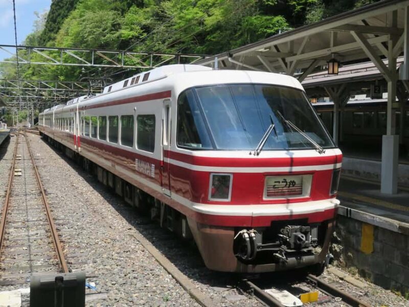 From Osaka: Private Guided Day Trip to Koyasan (UNESCO Site) - A Closer Look at the Experience
