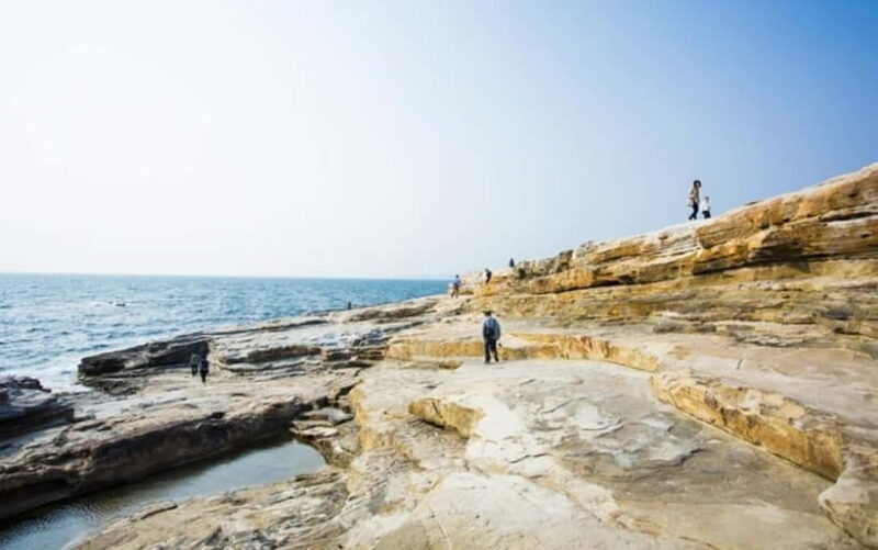 From Osaka: Shirahama Coastal Scenery Day Tour - Key Points