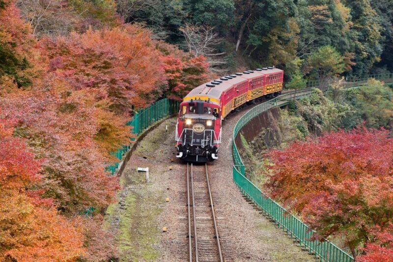 from-osaka-to-kyoto-arashiyama-bamboo-forest-tour