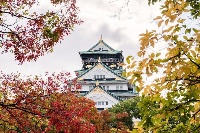 From Osaka,Amanohashidate and Ine Bay Day Trip - The Practicalities: What’s Included and What’s Not