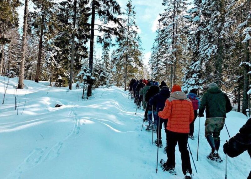 from-oslo-oslomarka-forest-guided-snowshoeing-tour