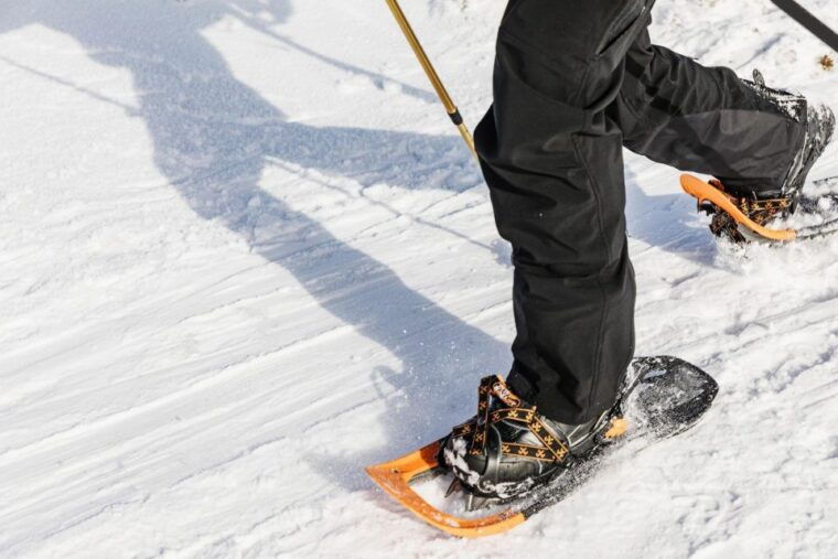 from-oslo-oslomarka-forest-guided-snowshoeing-tour