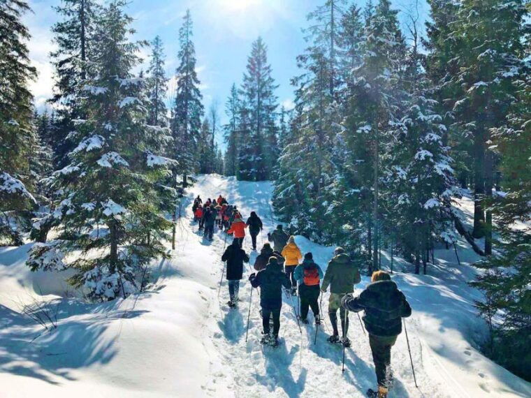 from-oslo-oslomarka-forest-guided-snowshoeing-tour