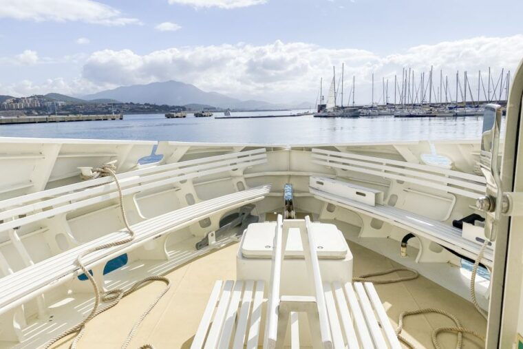from-ota-scandola-nature-reserve-eco-friendly-boat-tour