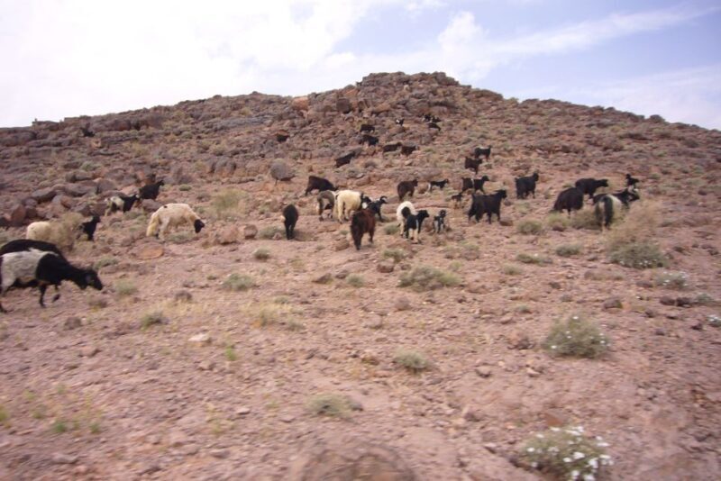 From Ouarzazate: 2-Day Erg Lihdoui and Mhamid Desert Tour - What to Expect on the Tour