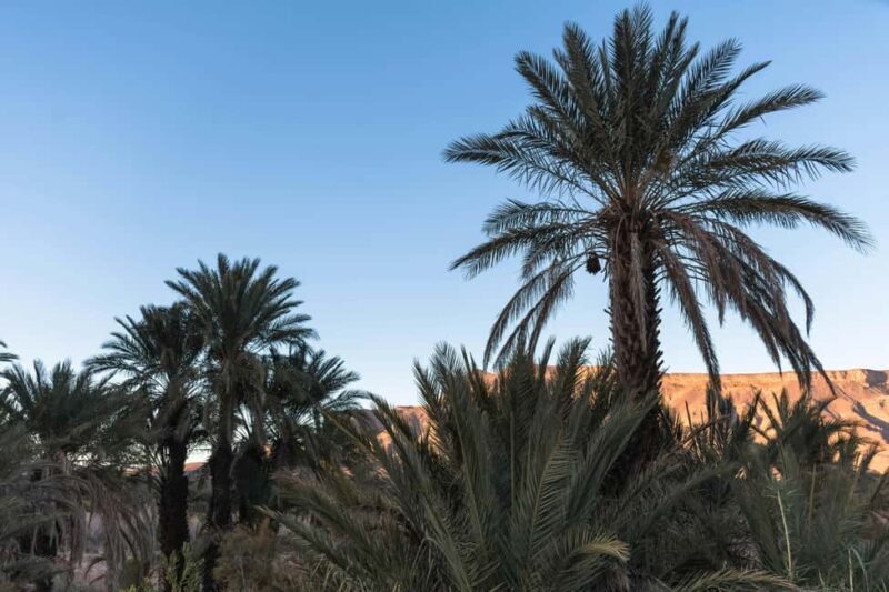 From Ouarzazate: 3 Days tour though Merzouga & Dades - Key Points