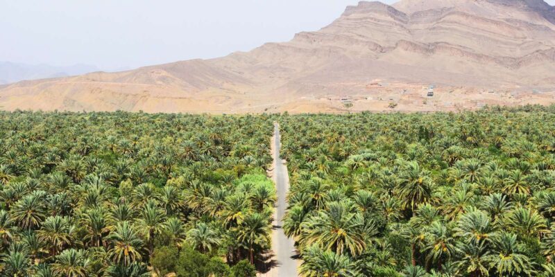 From Ouarzazate: 3 Days tour though Merzouga & Dades - Transportation and Group Experience