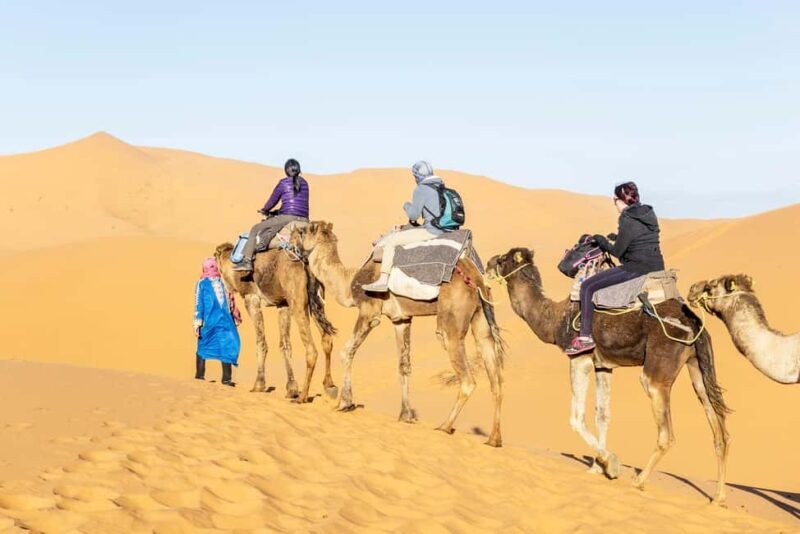From Ouarzazate: Draa Valley, Camel Ride & Tinfou Dunes Trip - Who is this tour best suited for?