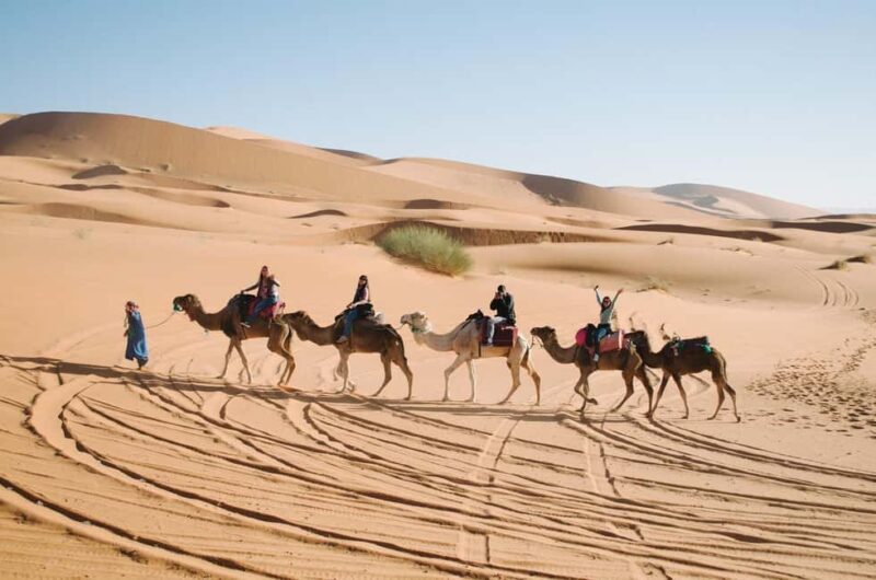 From Ouarzazate: Draa Valley, Camel Ride & Tinfou Dunes Trip - Final Thoughts