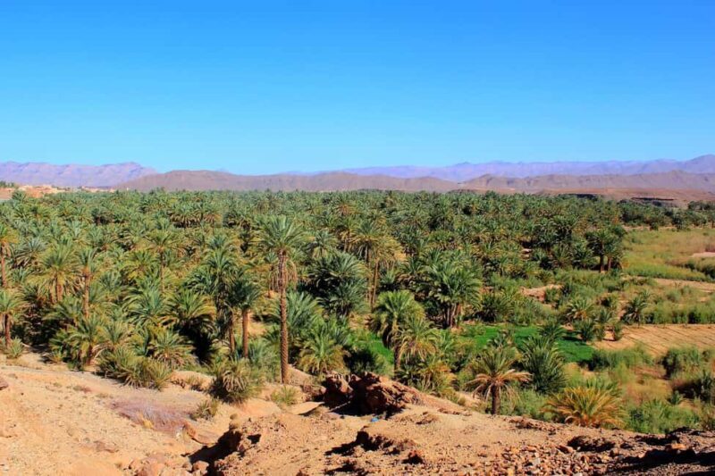 From Ouarzazate: Draa Valley, Camel Ride & Tinfou Dunes Trip - FAQ