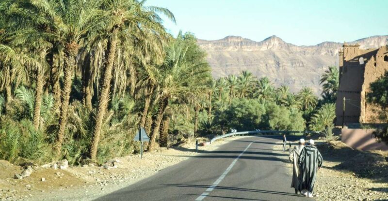 From Ouarzazate: Zagora and Draa Valley Day Tour - Who Will Love This Tour?