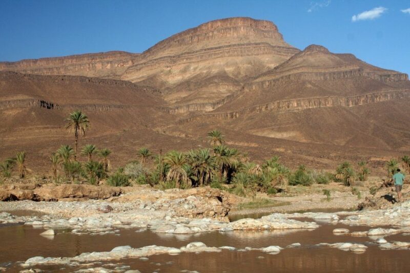 From Ouarzazate: Zagora and Draa Valley Day Tour - The Sum Up