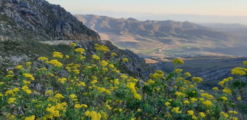From Oudtshoorn: Full-Day Private Swartberg Mountain Tour - Key Points