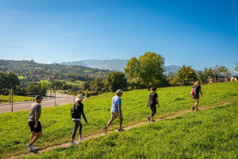 from-oviedo-half-day-camino-de-santiago-hike