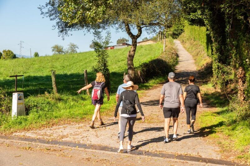 from-oviedo-half-day-camino-de-santiago-hike