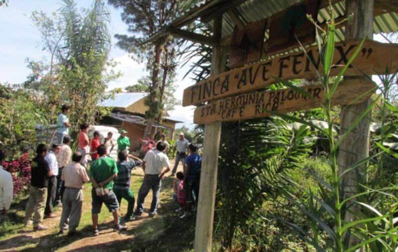 from-oxapampa-villa-rica-the-capital-of-the-coffee-route