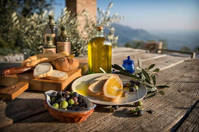 from-padua-olive-oil-wine-in-the-euganean-hills-2