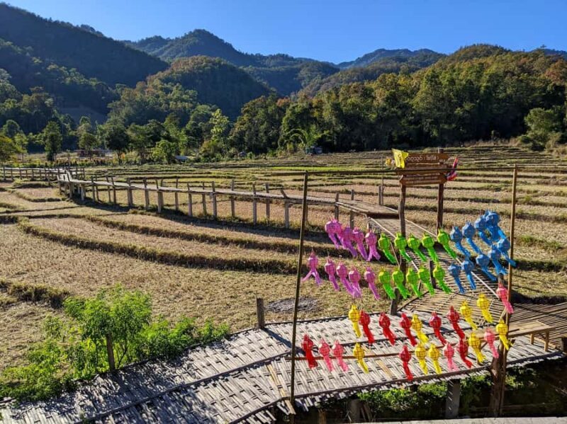 From Pai: Private Highlights Car Day Tour with Pai Canyon - Final Thoughts