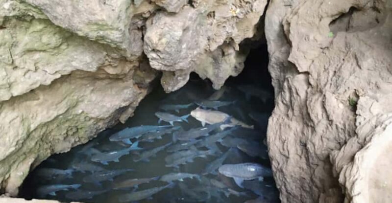 From Pai: Private Mae Hong Son Highlights Car Tour - Who This Tour Is Best For